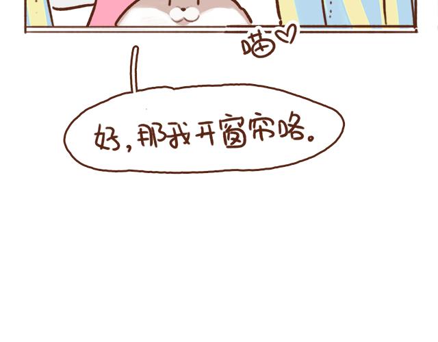我的蓝白条纹内裤呢？-第64话