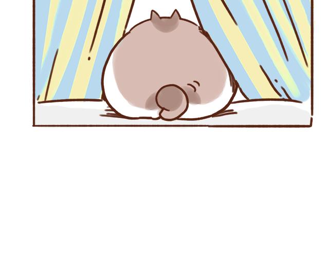 我的蓝白条纹内裤呢？-第64话