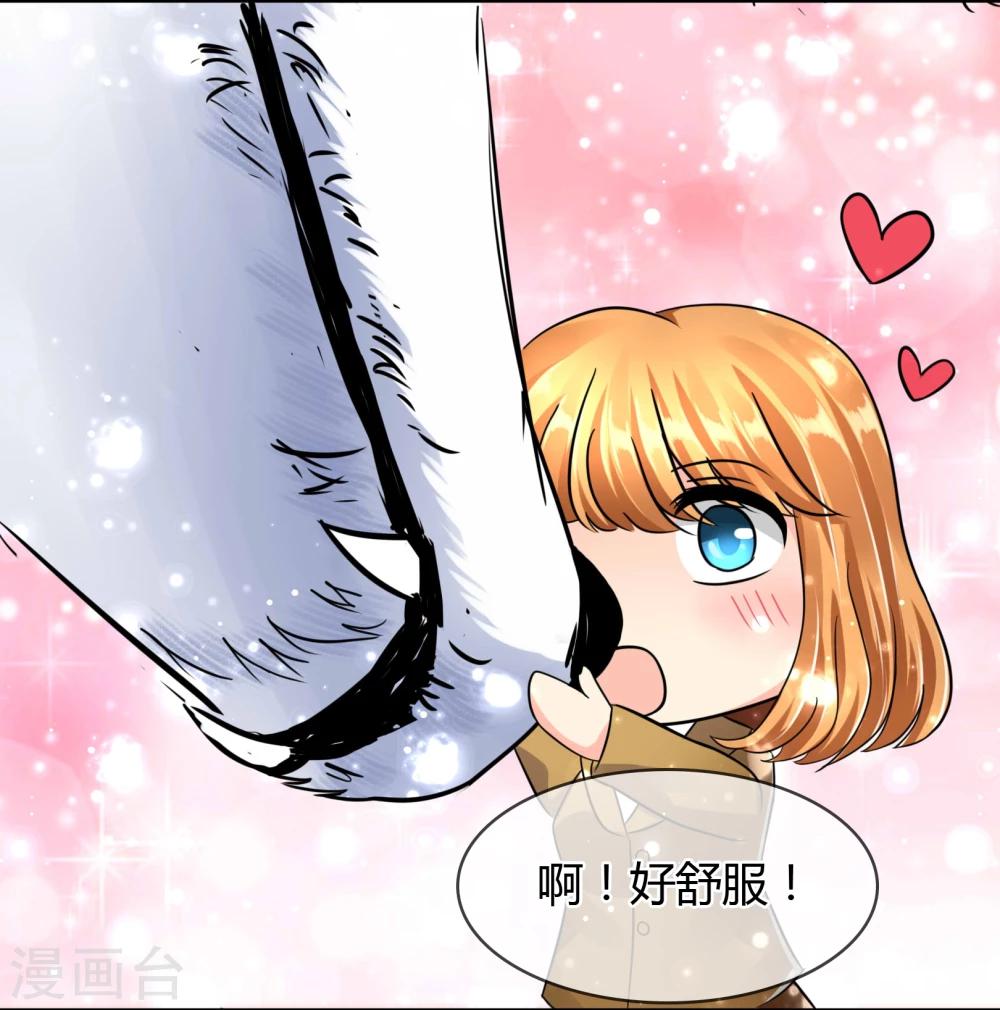 第45话 认主-第46话