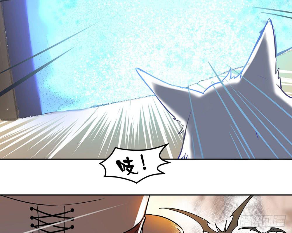 🍵白狐魔法师 地下城与魔法师 第40页