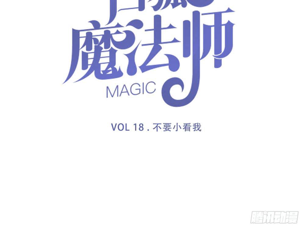 🍵白狐魔法师 不要小看我 第17页