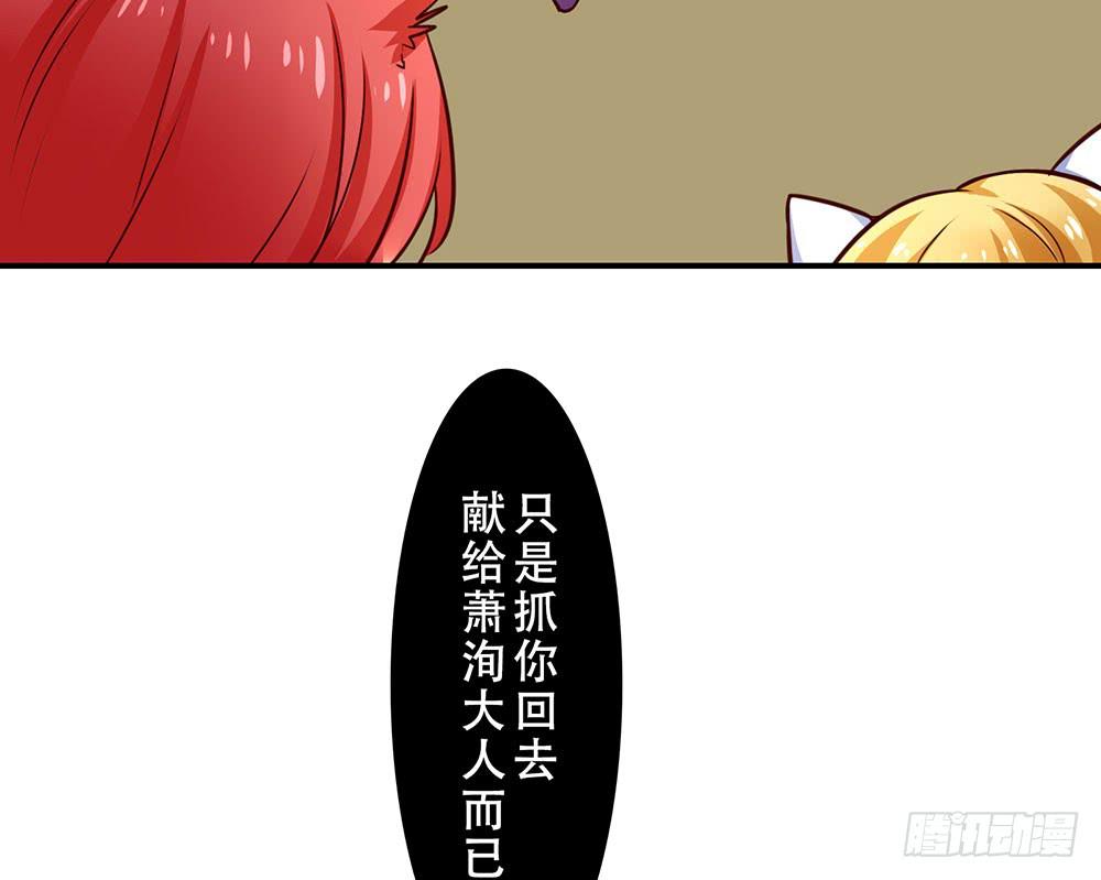🍵白狐魔法师 手环 第15页