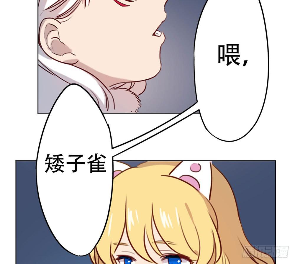 🍵白狐魔法师 魔力结晶 第41页