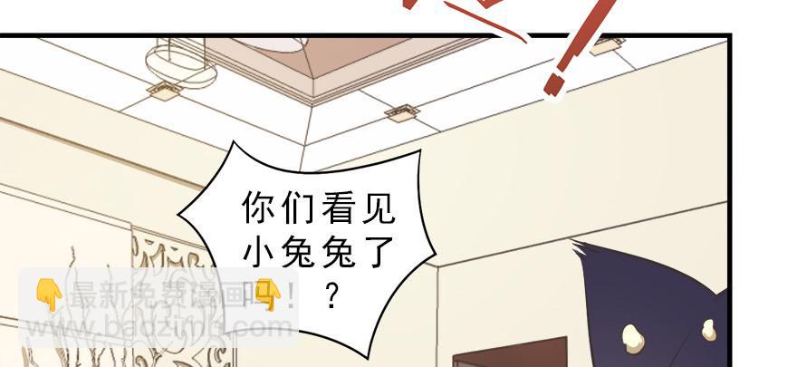 016不要给兔子洗澡(1/2)-第18话