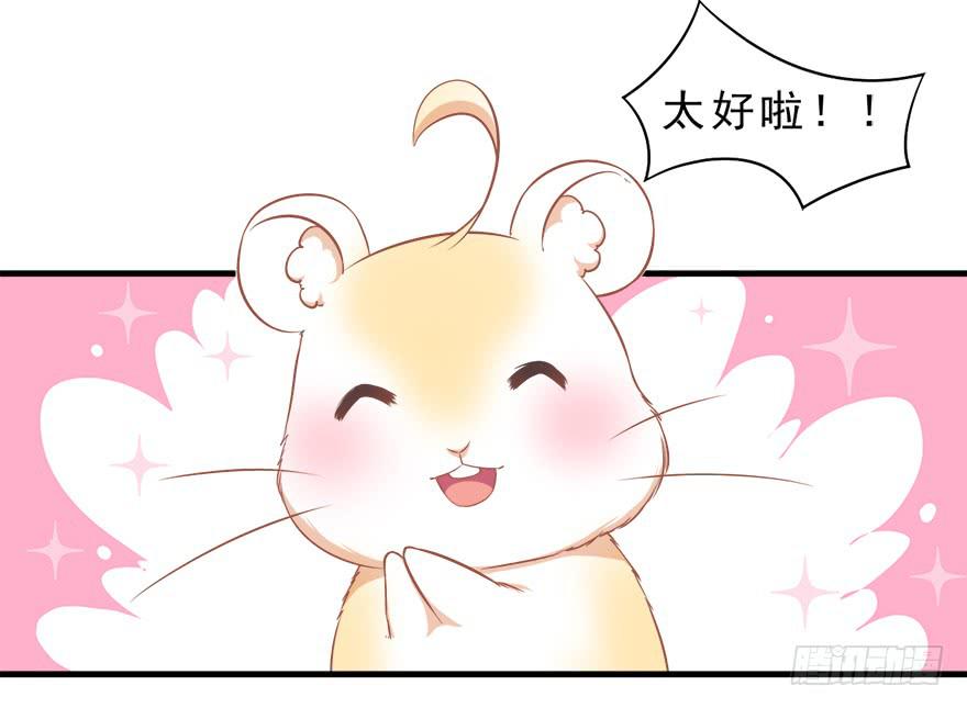 016不要给兔子洗澡(1/2)-第18话
