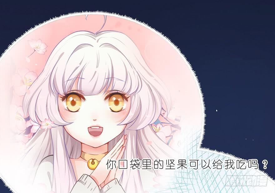 022九宝的回忆与动物平行世界(1/2)-第28话