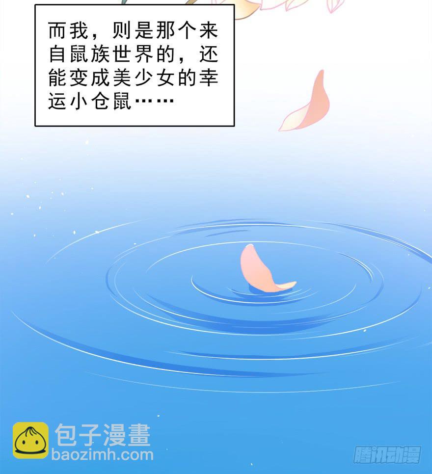022九宝的回忆与动物平行世界(1/2)-第28话