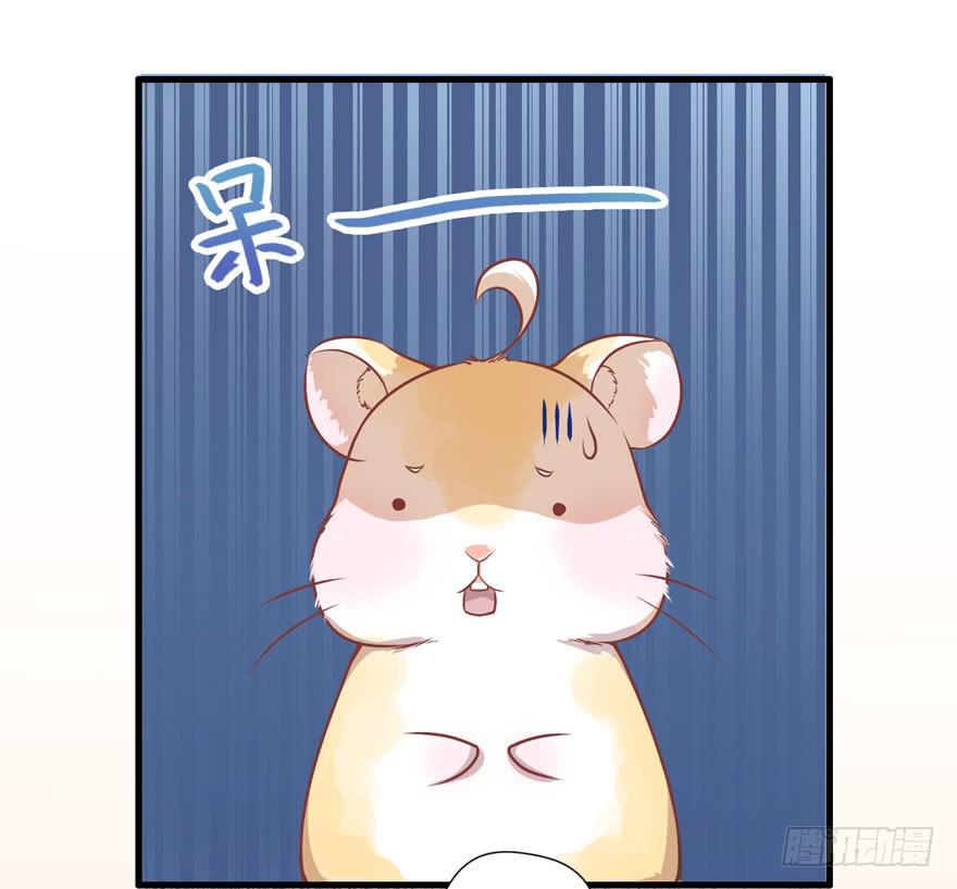 003和天敌同居？(1/2)-第4话