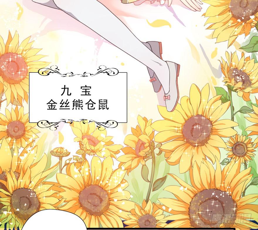 003和天敌同居？(1/2)-第4话
