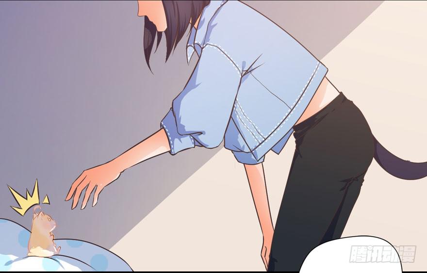 003和天敌同居？(1/2)-第4话