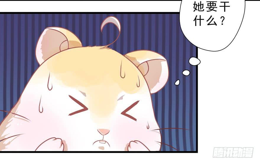 003和天敌同居？(1/2)-第4话