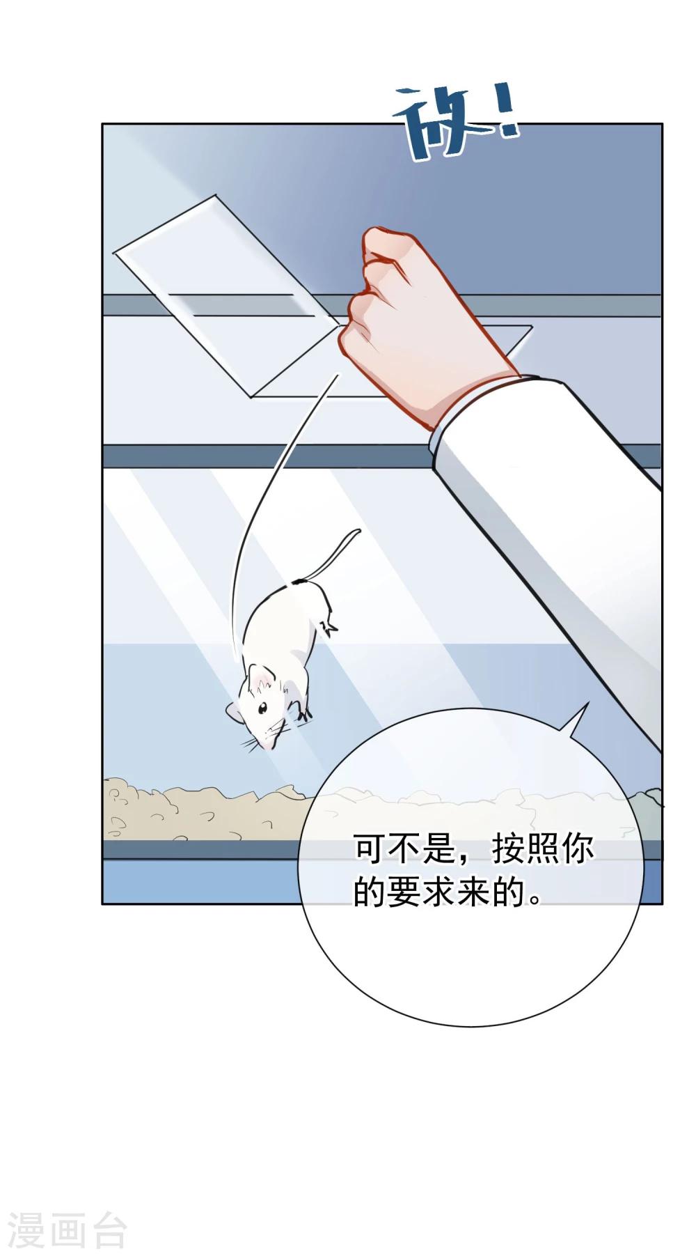第9话 绯闻(1/2)-第10话