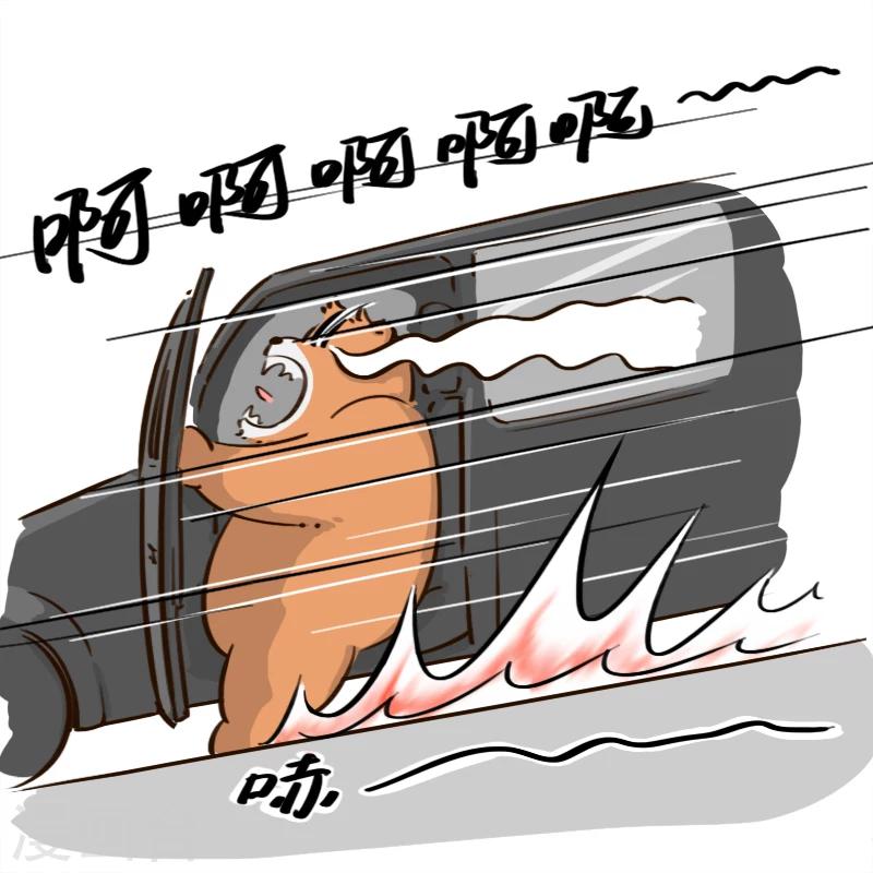 第38话-第38话