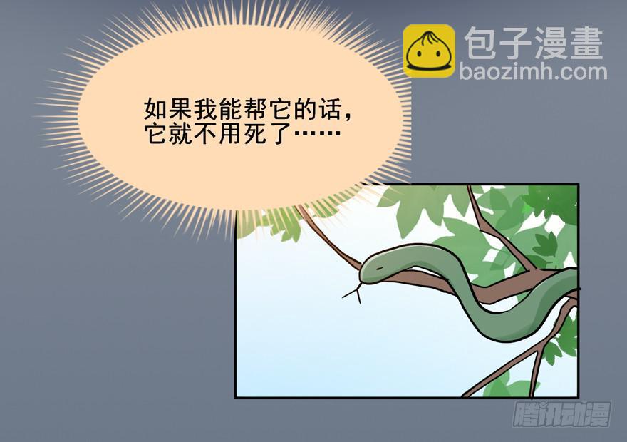114 它们这么自由...(1/2)-第114话