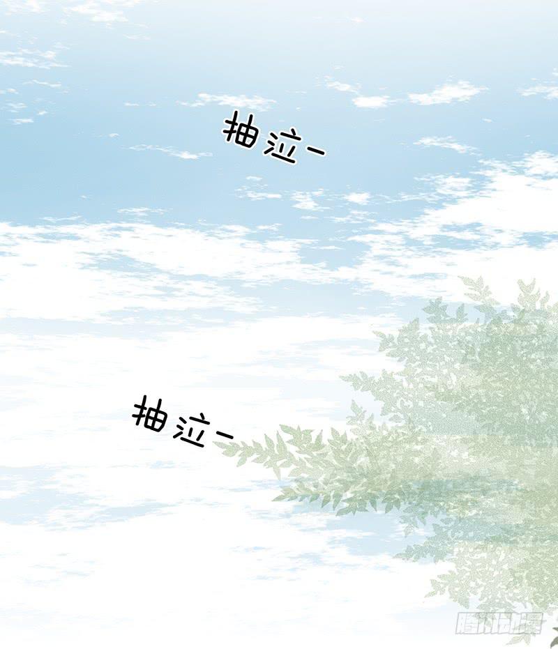 第一话上(1/2)-第2话