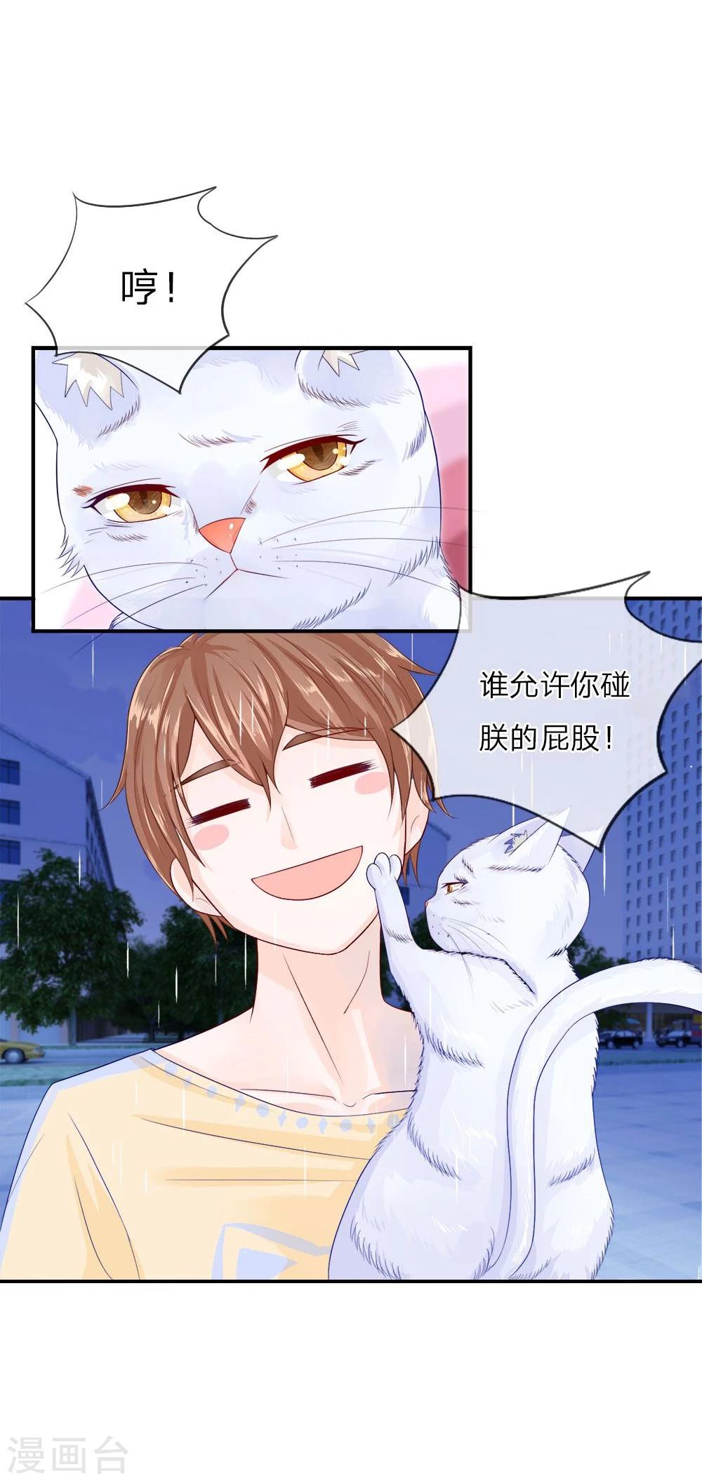 精修版第5-8话 小猫儿别怕(1/2)-第2话