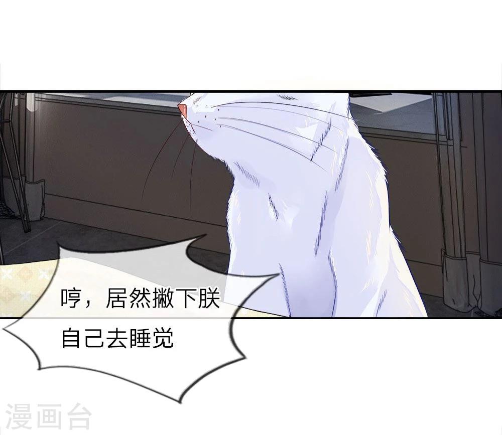精修版第5-8话 小猫儿别怕(1/2)-第2话