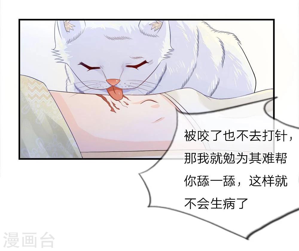 精修版第5-8话 小猫儿别怕(1/2)-第2话