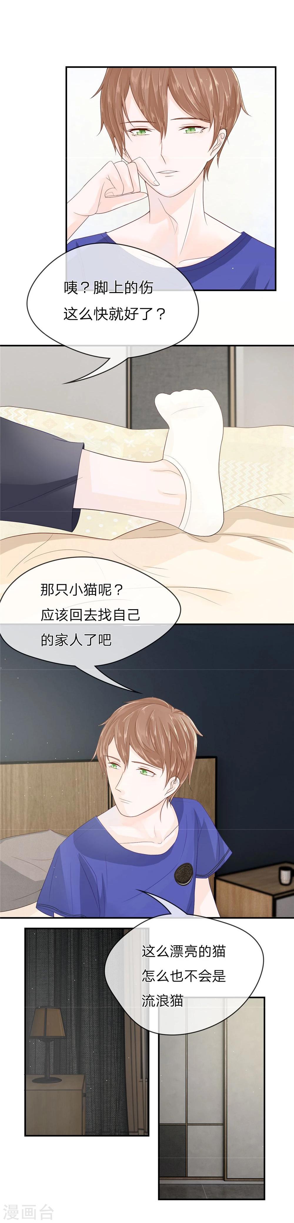 精修版第5-8话 小猫儿别怕(1/2)-第2话