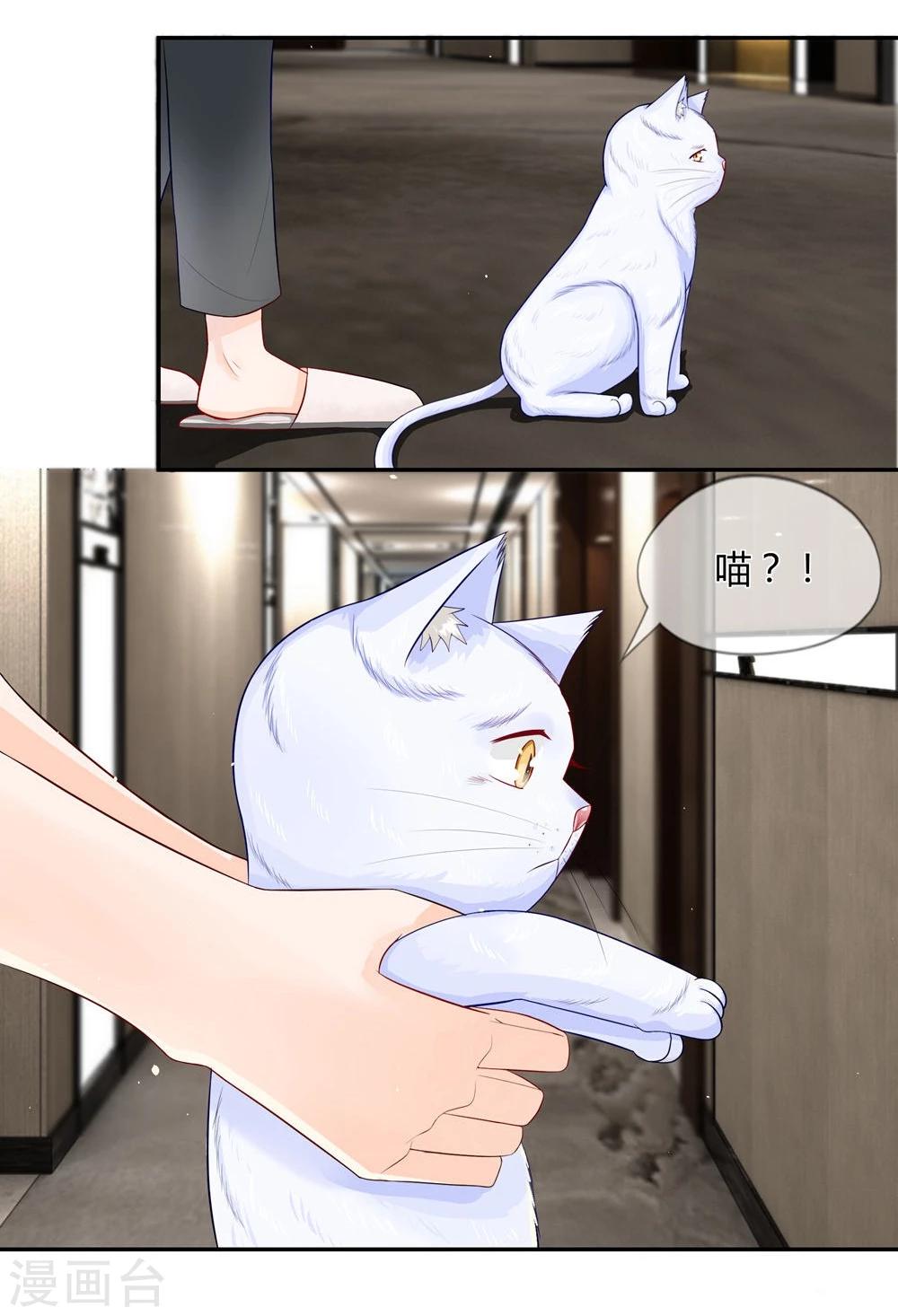 第26话 蠢奴居然撵朕？-第14话