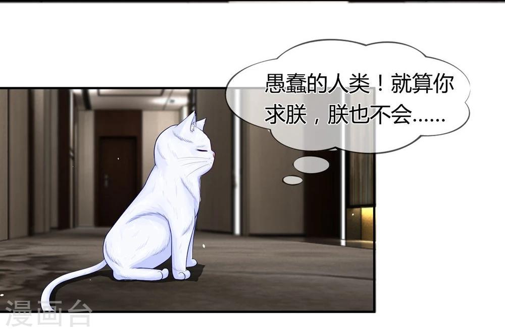 第26话 蠢奴居然撵朕？-第14话