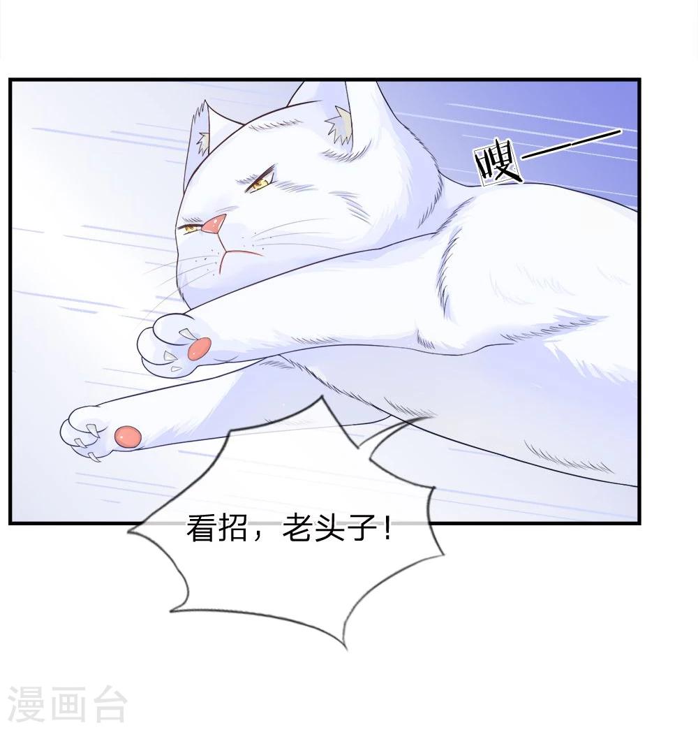 精修版第13-16话 我的爸爸是雪豹(1/2)-第4话
