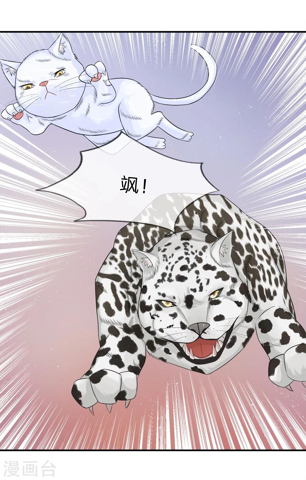 精修版第13-16话 我的爸爸是雪豹(1/2)-第4话