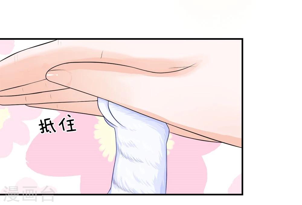 精修版第13-16话 我的爸爸是雪豹(1/2)-第4话