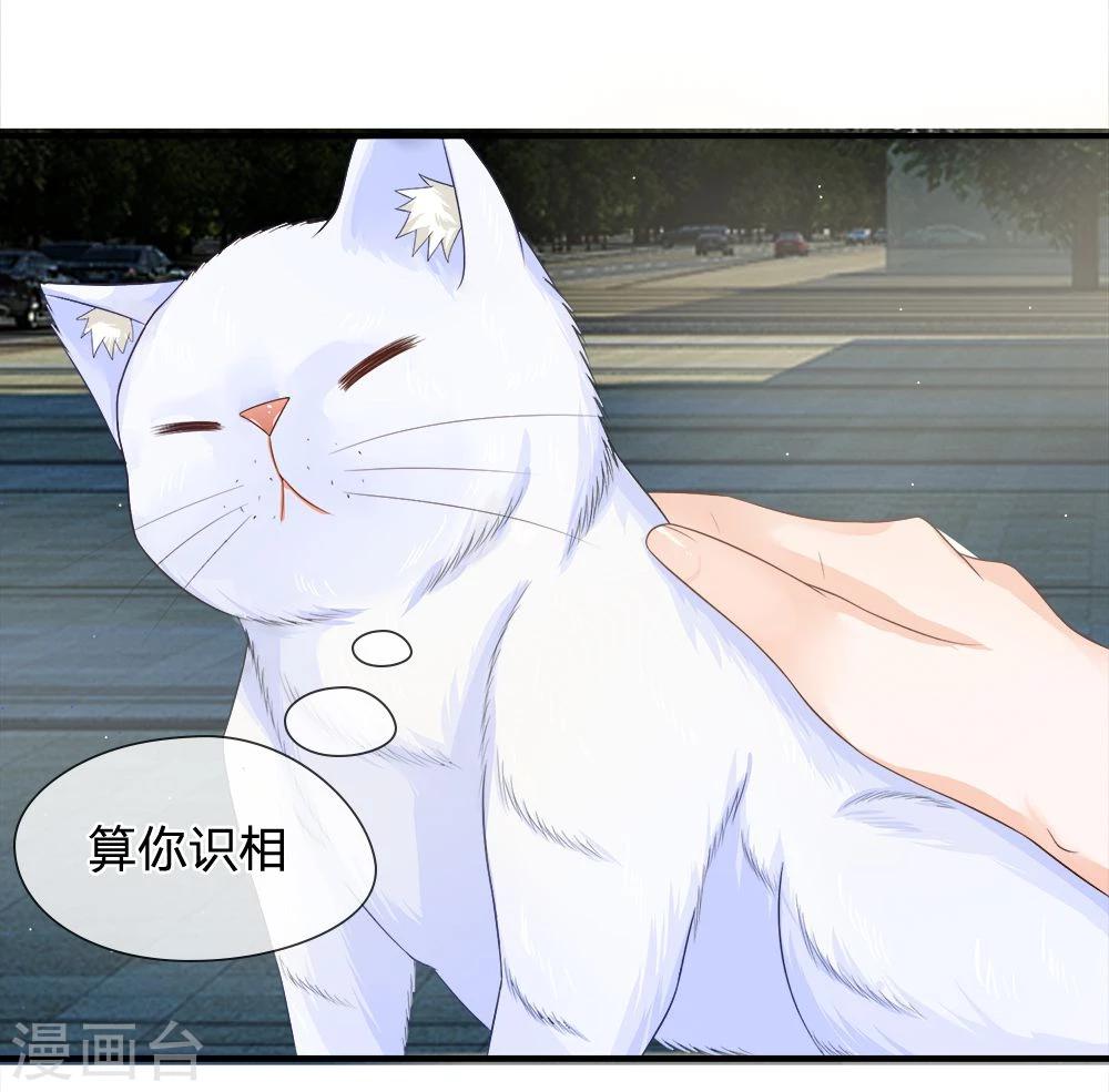 精修版第13-16话 我的爸爸是雪豹(1/2)-第4话