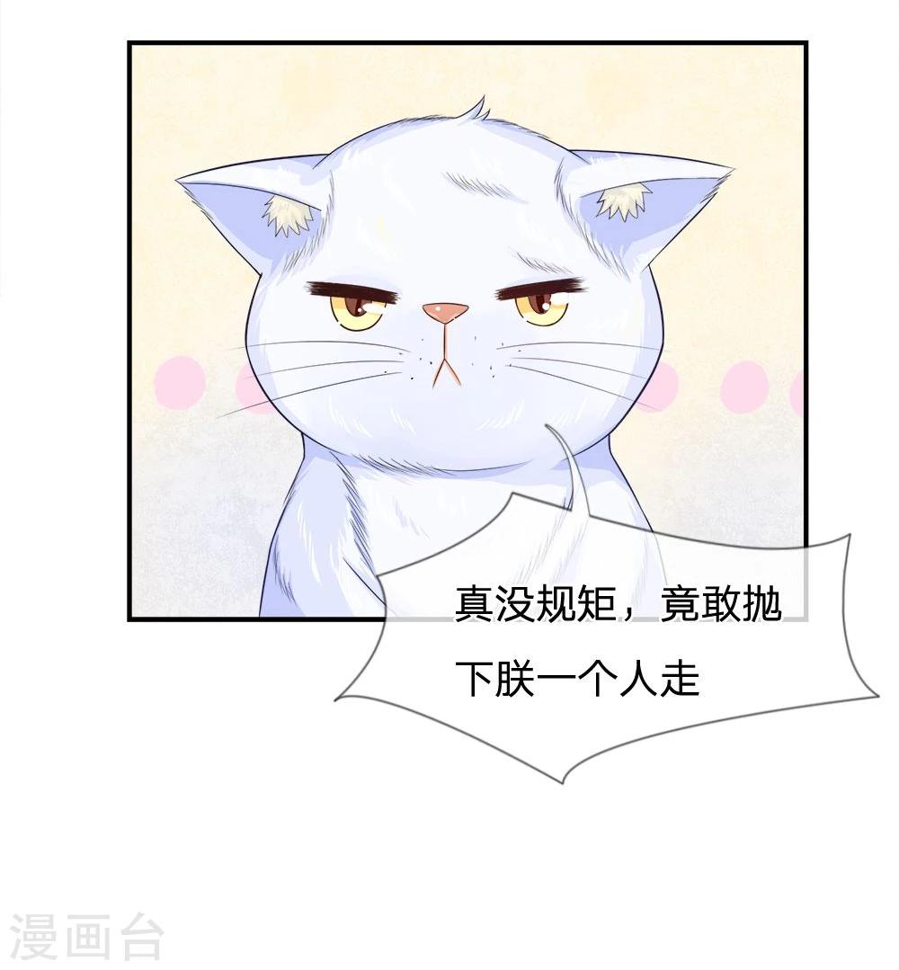 精修版第13-16话 我的爸爸是雪豹(1/2)-第4话