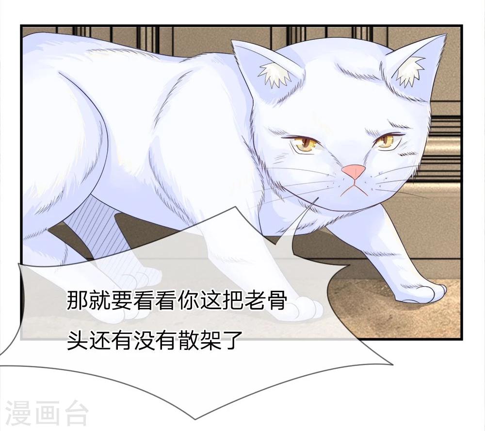 精修版第13-16话 我的爸爸是雪豹(1/2)-第4话