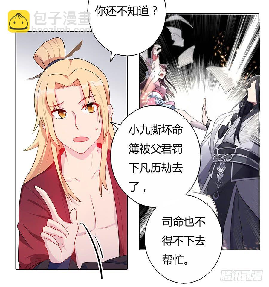 041蹊跷的往事(1/2)-第46话
