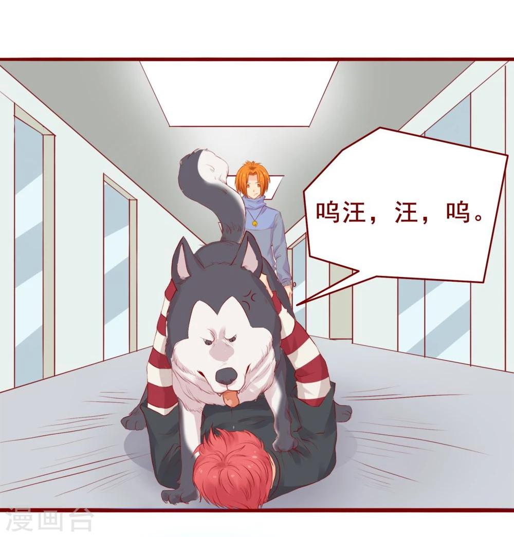 第92话-第92话
