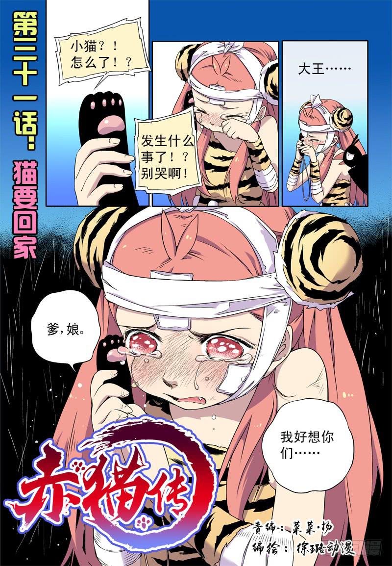 act0031猫要回家！-第32话