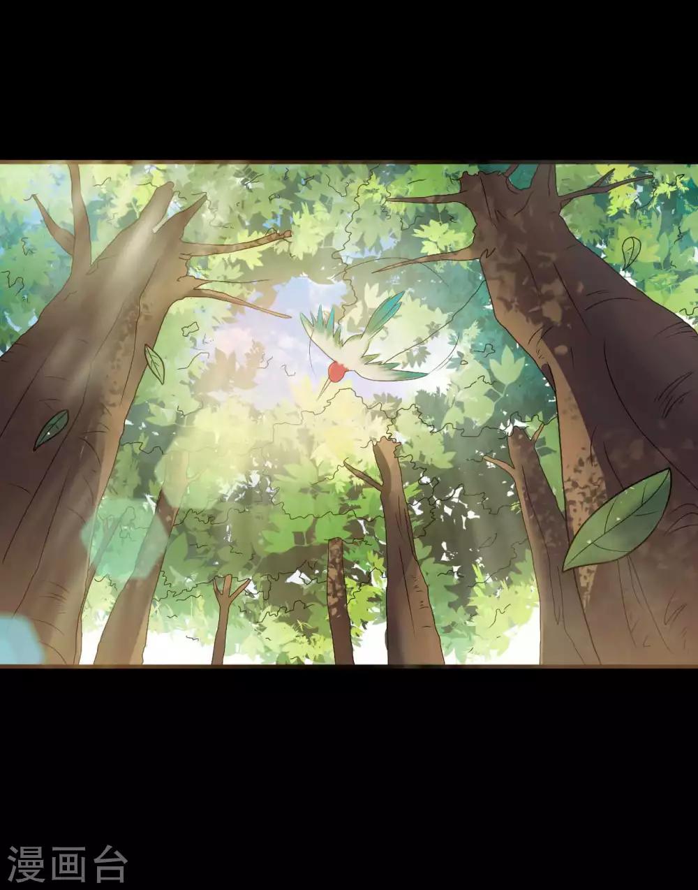 第1季最终话 继承者(1/2)-第70话