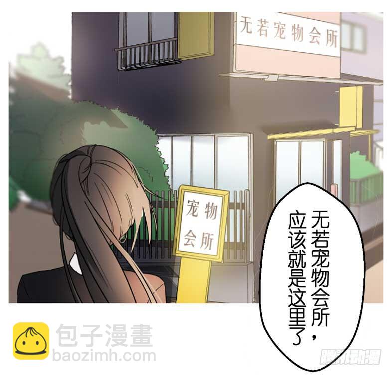 主人与宠物的精神交流?-第2话
