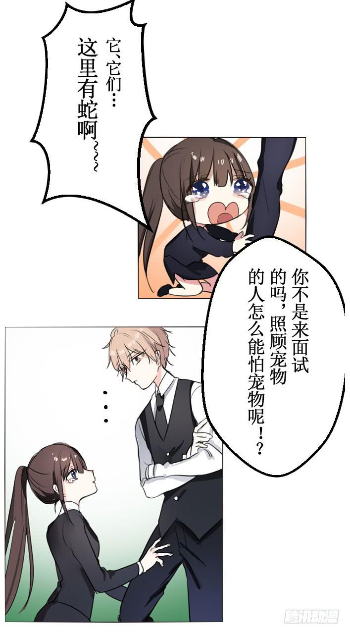 这么怕宠物还想做管家?-第4话