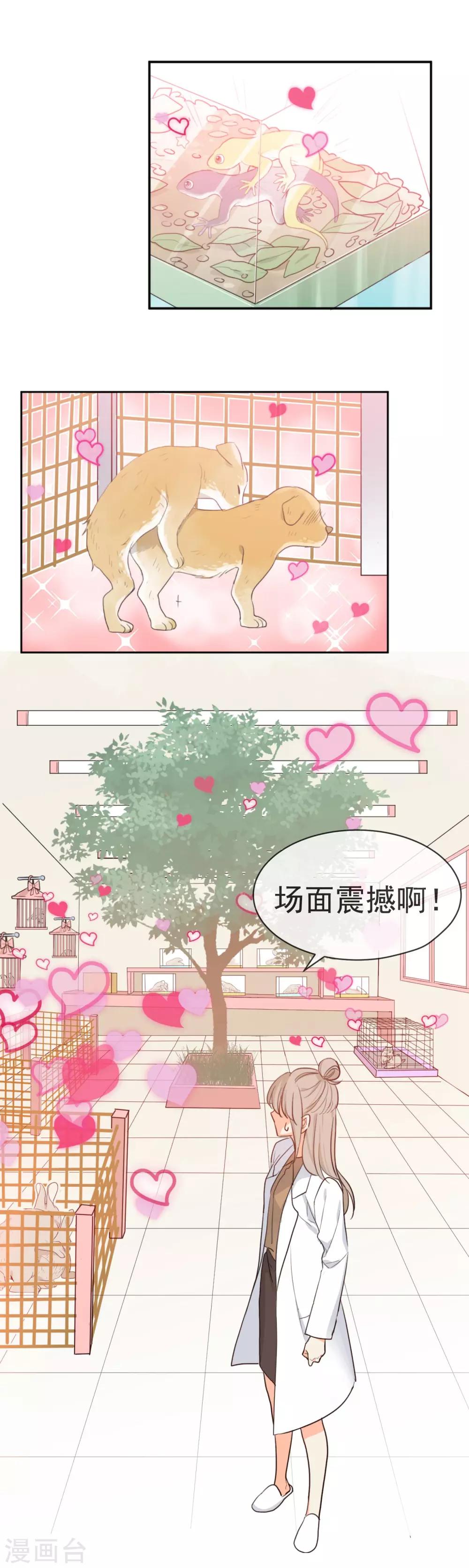 第1话 请问你能交配吗？-第2话