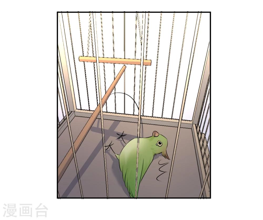 第13话 更年期的总裁-第14话