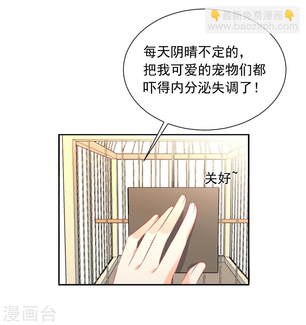 第13话 更年期的总裁-第14话