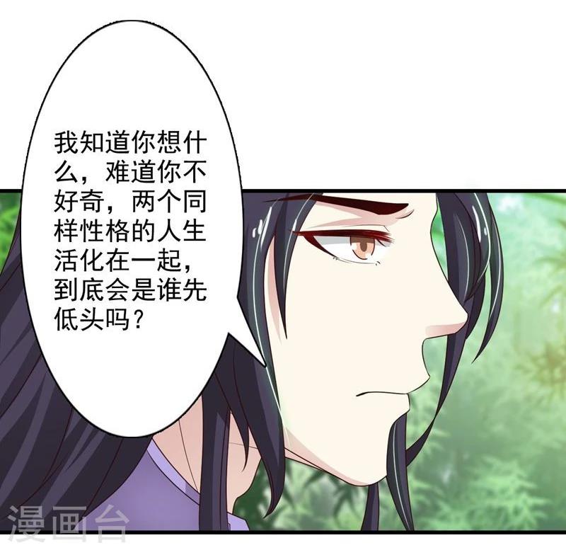 第41话 暗中保护小王妃-第44话