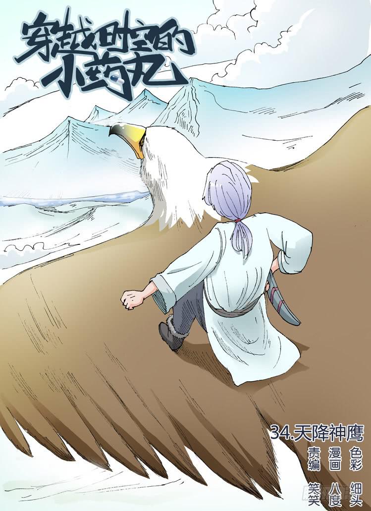 🍶穿越时空的小药丸 34:天降神鹰 第1页