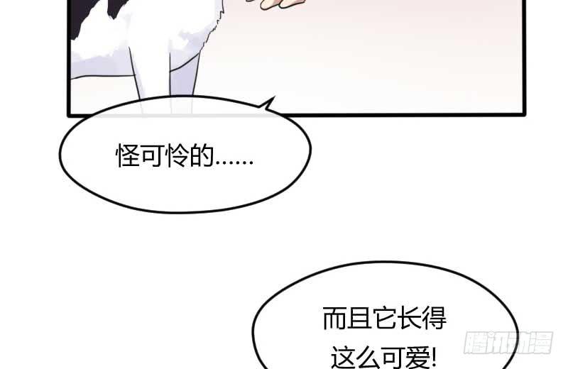 33-收留（下）(1/2)-第36话