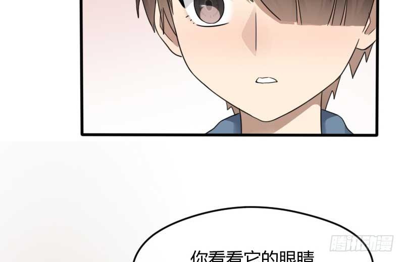 33-收留（下）(1/2)-第36话