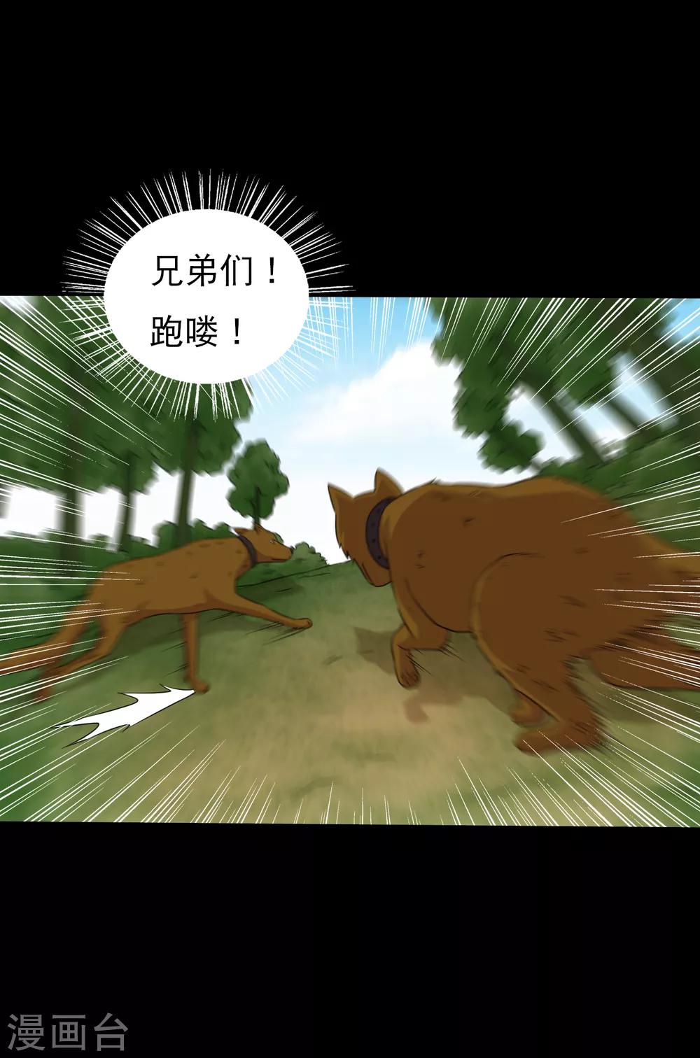 第97话 奔跑吧狗狗-第102话
