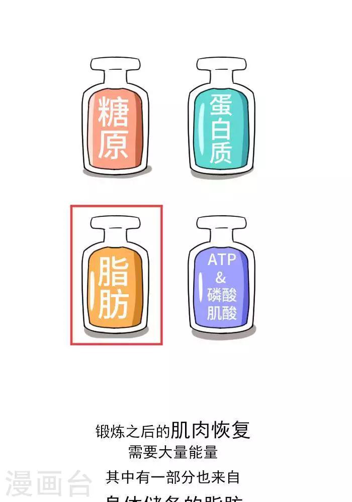 🍼大牛健身漫画 第12话  肌肉，减肥的好帮手！ 第17页