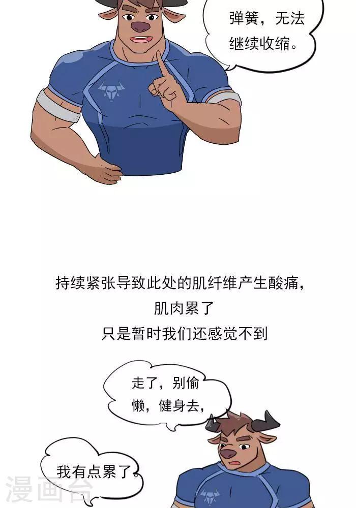 🍼大牛健身漫画 第20话  激痛点，肌肉劳损你知道吗？ 第13页