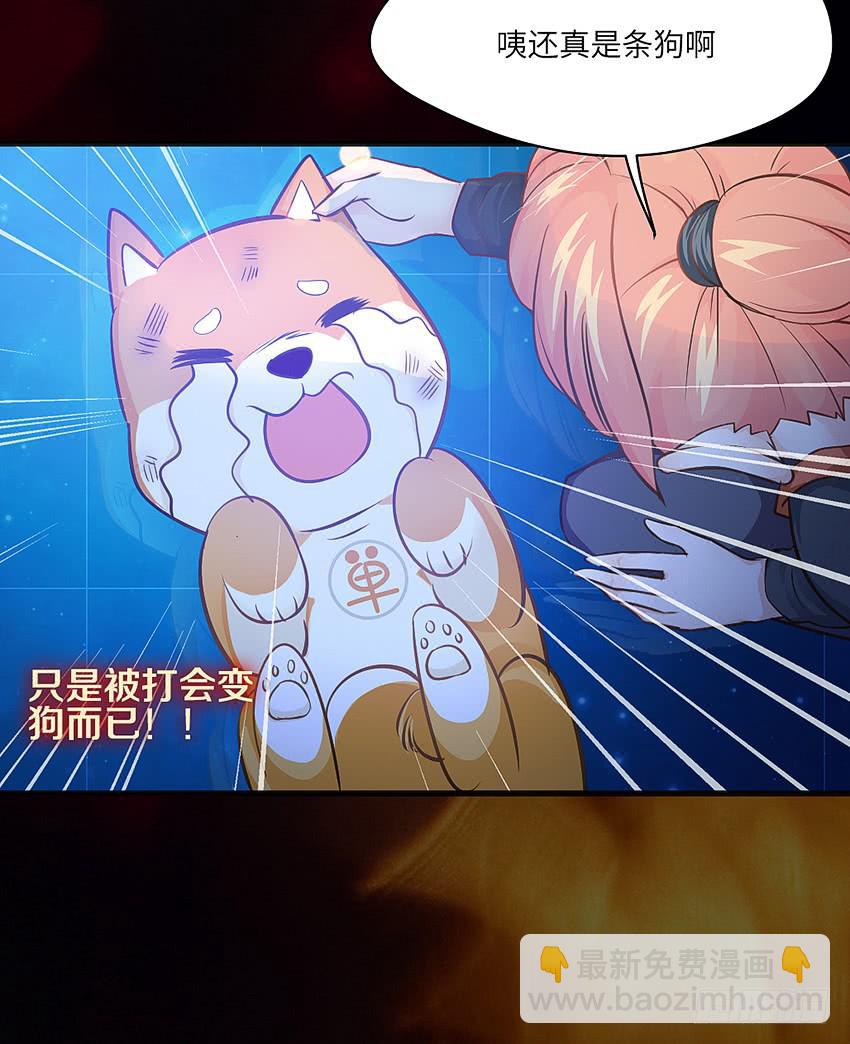 欢迎来到单身狗的世界(1/3)-第2话