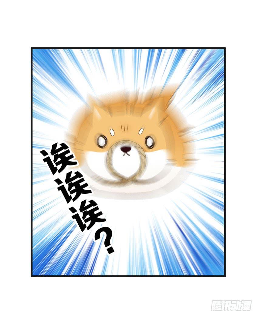 25&middot;英雄救汪-第26话