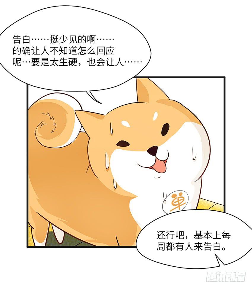 凭实力单身(1/2)-第4话